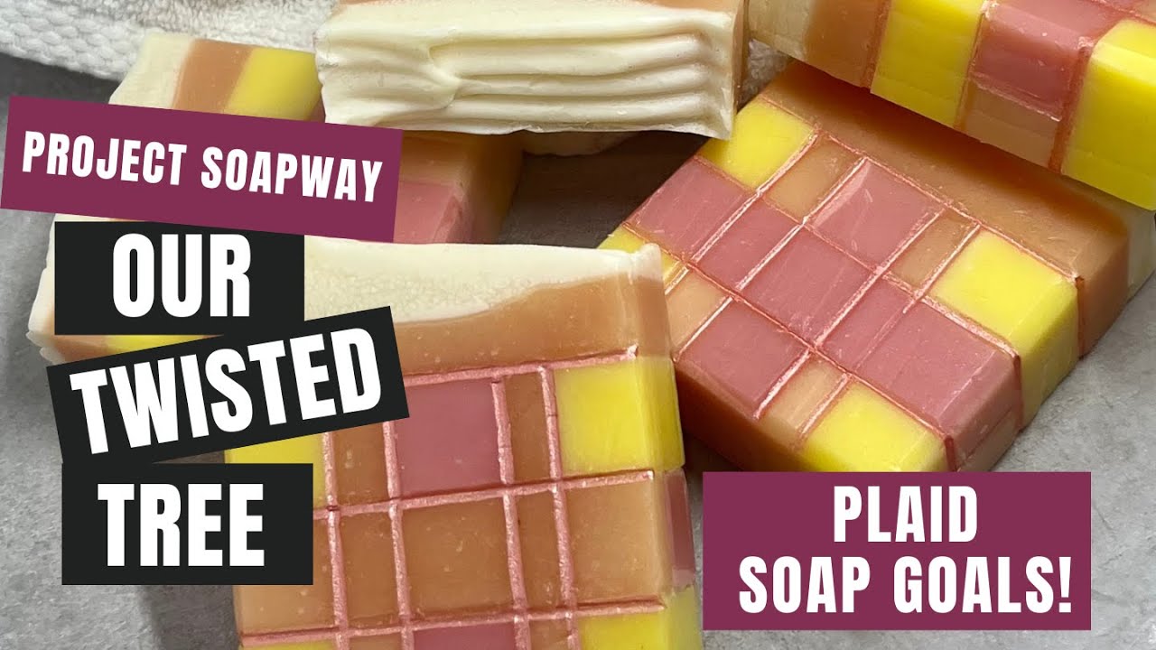Gorgeous Plaid Soap! Project Soapway Winner Twisted Tree!