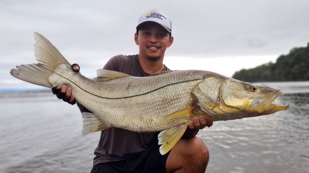 Pesca de ROBALO de 17 Libras en COLOMBIA- pescando en el Pacifico Parte1.