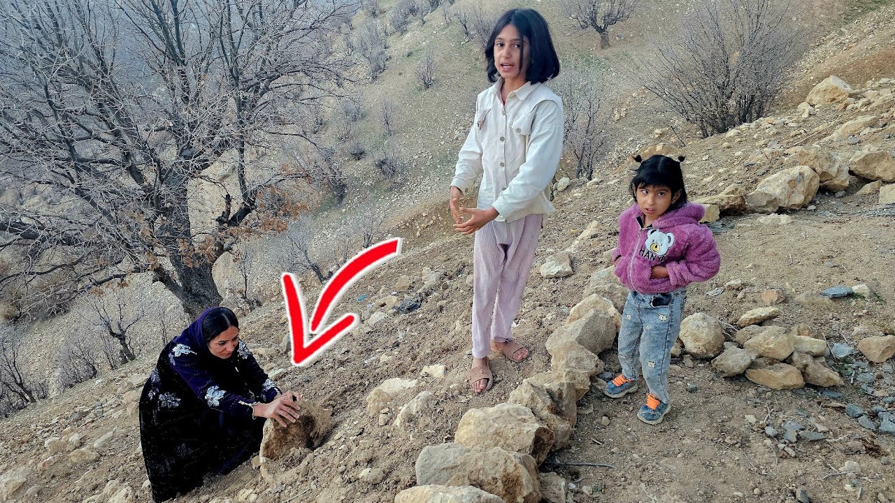 From the Courtroom to the Mountains; The Struggle of a Nomadic Mother for Life