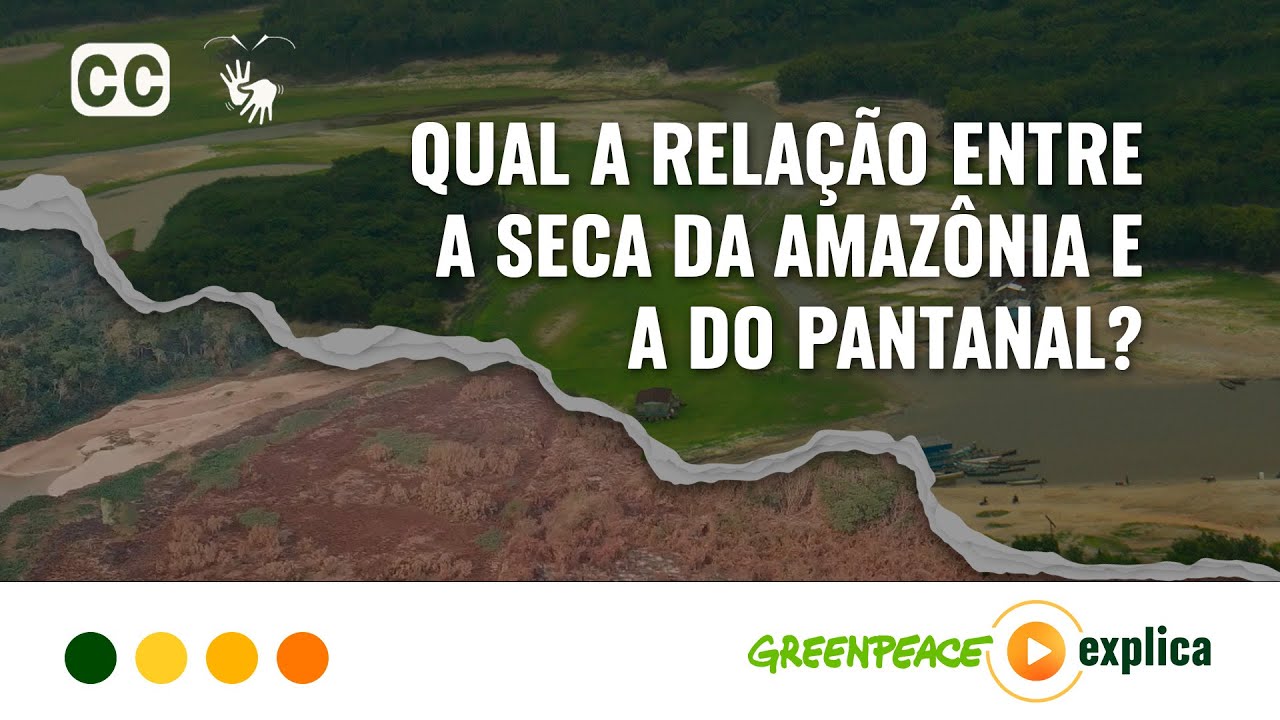 Qual a rela&ccedil;&atilde;o entre a seca da Amaz&ocirc;nia e a do Pantanal? - Greenpeace Explica