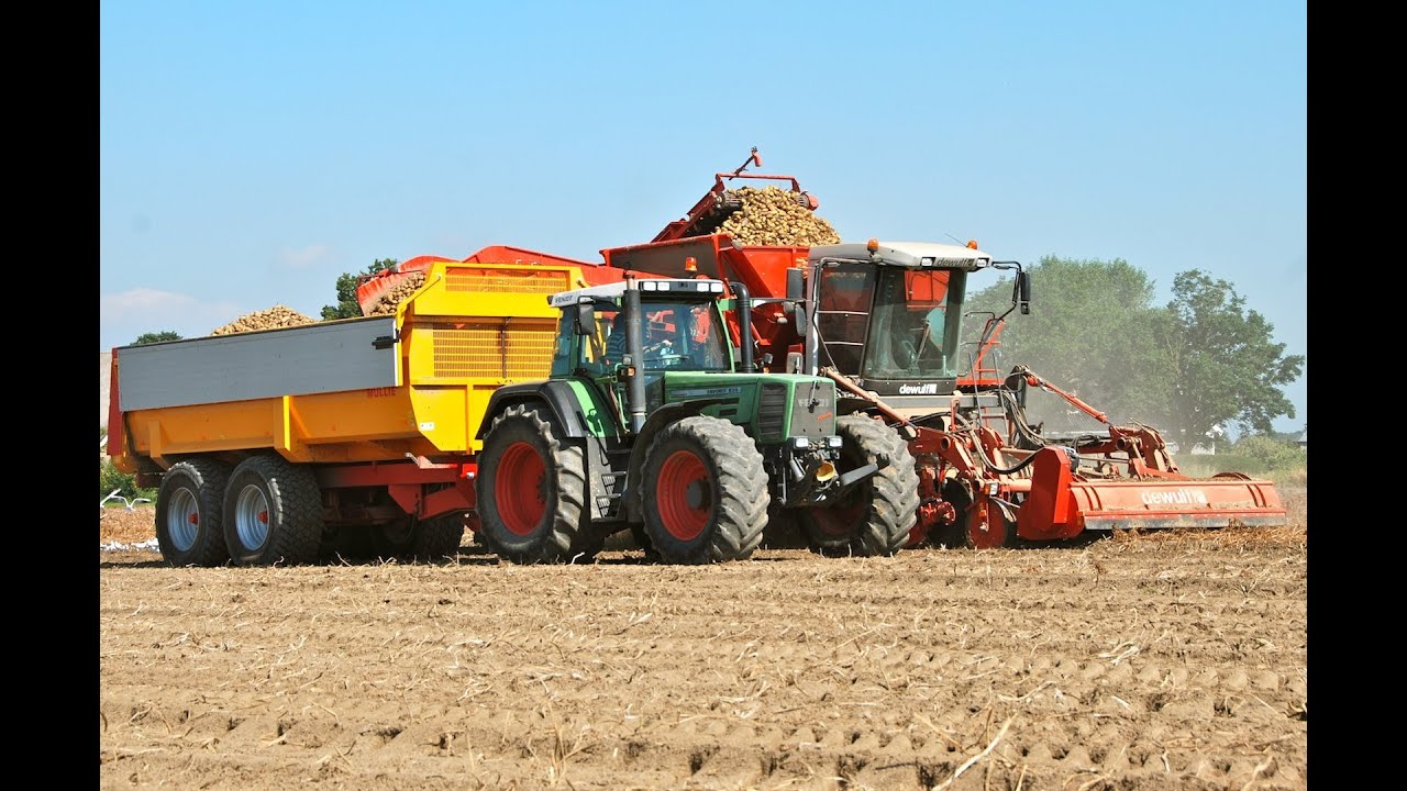 Aardappelsrooien met een Dewulf Kwatro Lifting potatoes Kartoffeln ernte - Veerman Goudswaard