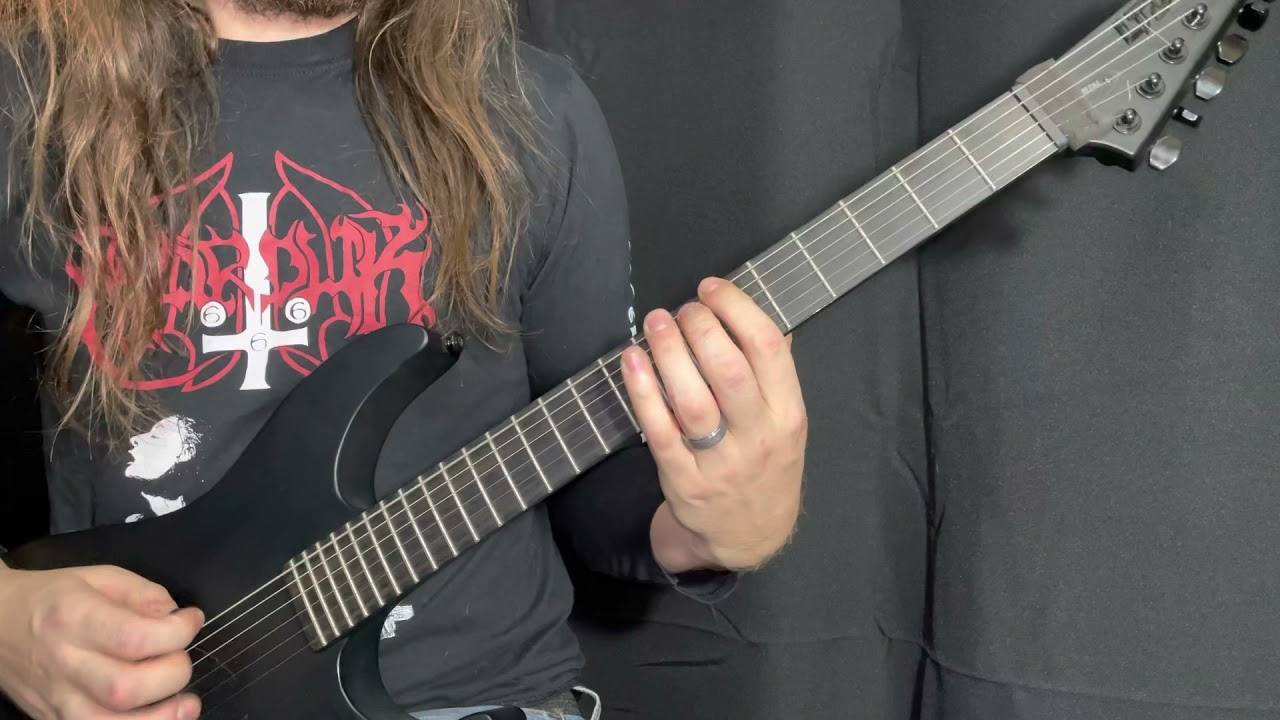 Cannibal Corpse - Addicted to Vaginal Skin Guitar Cover