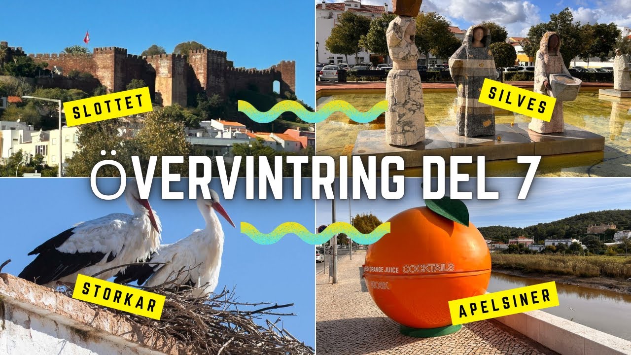 Övervintring Del 7