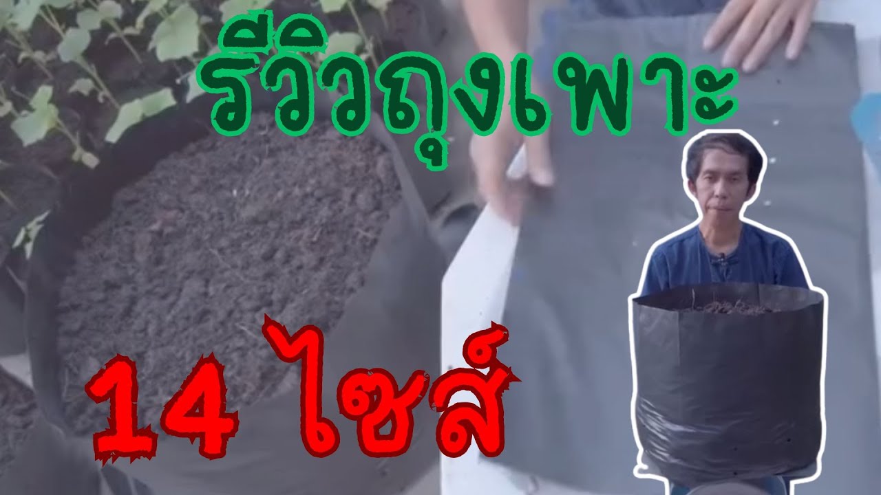 รีวิวถุงเพาะ 14 ไซส์ #ถุงเพาะ #ถุงเพาะชำ #ถุงเพาะกล้า #ถุงเพาะชำสีดำ