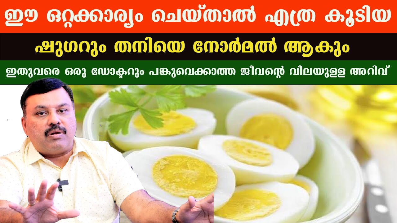 ഈ ഒരു കാര്യം ചെയ്താൽ എക്കാലവും നിങ്ങളുടെ ഷുഗർ നോർമൽ ആയി ഇരിക്കും /Dr Jeevan Joseph