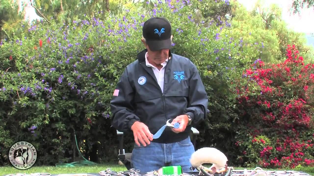 Choosing What Bit To Use On Your Horse