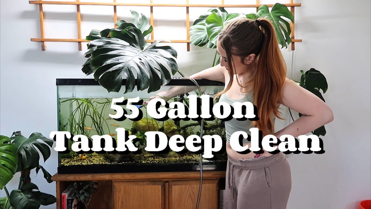 Maintenance for 55 Gallon Tank with Fluval 307 Canister Filter