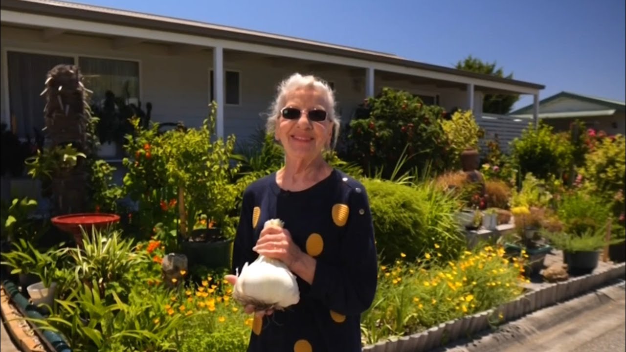Melbourne grandmother grows giant 1.23 kilogram garlic