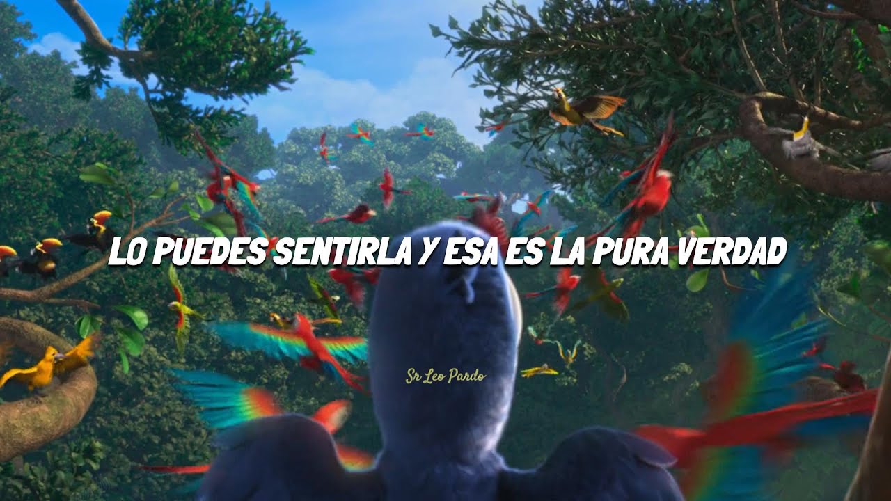 Rio - Real En Rio (Canción Completa) (Latino) (Letra)