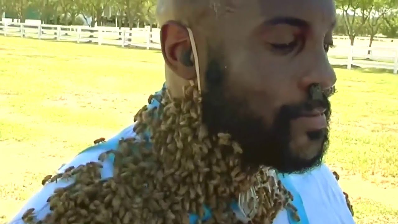 Bees on Buffalo Bayou | HOUSTON LIFE | KPRC 2