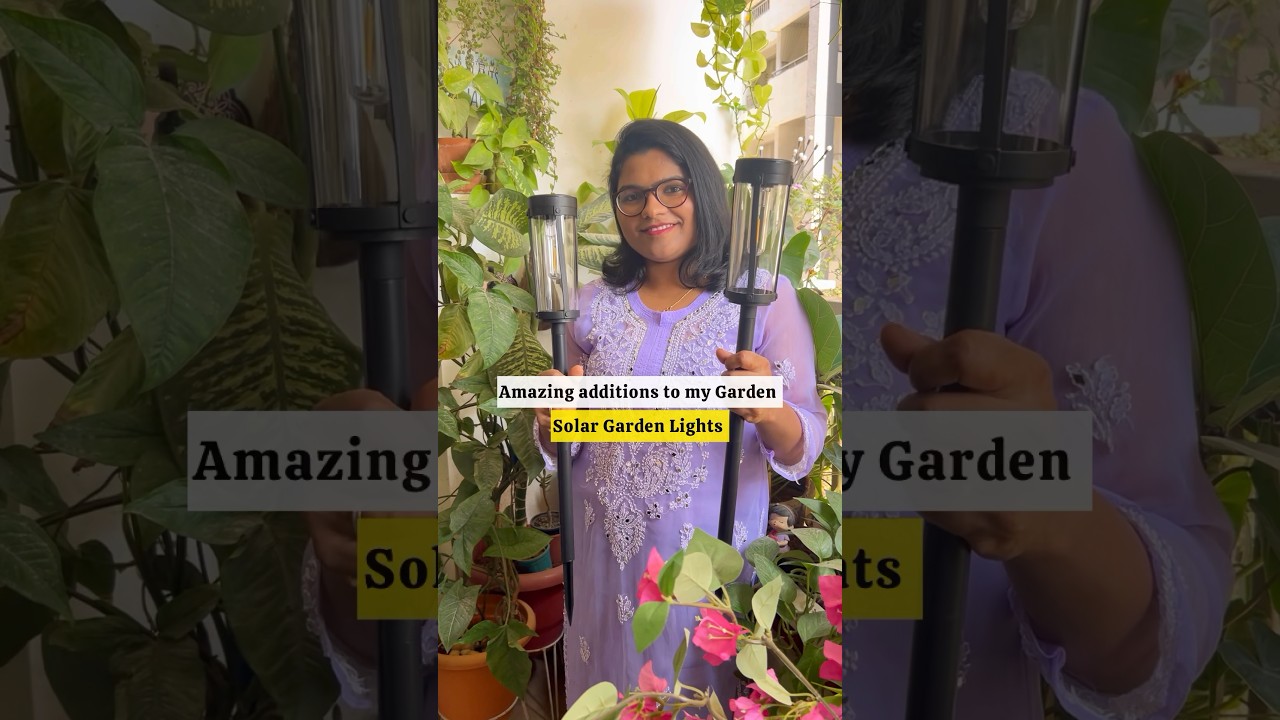 Solar garden light 💡 #solarlight #viralvideo #gardenlight #solarpower #ecofriendly #amazonfinds