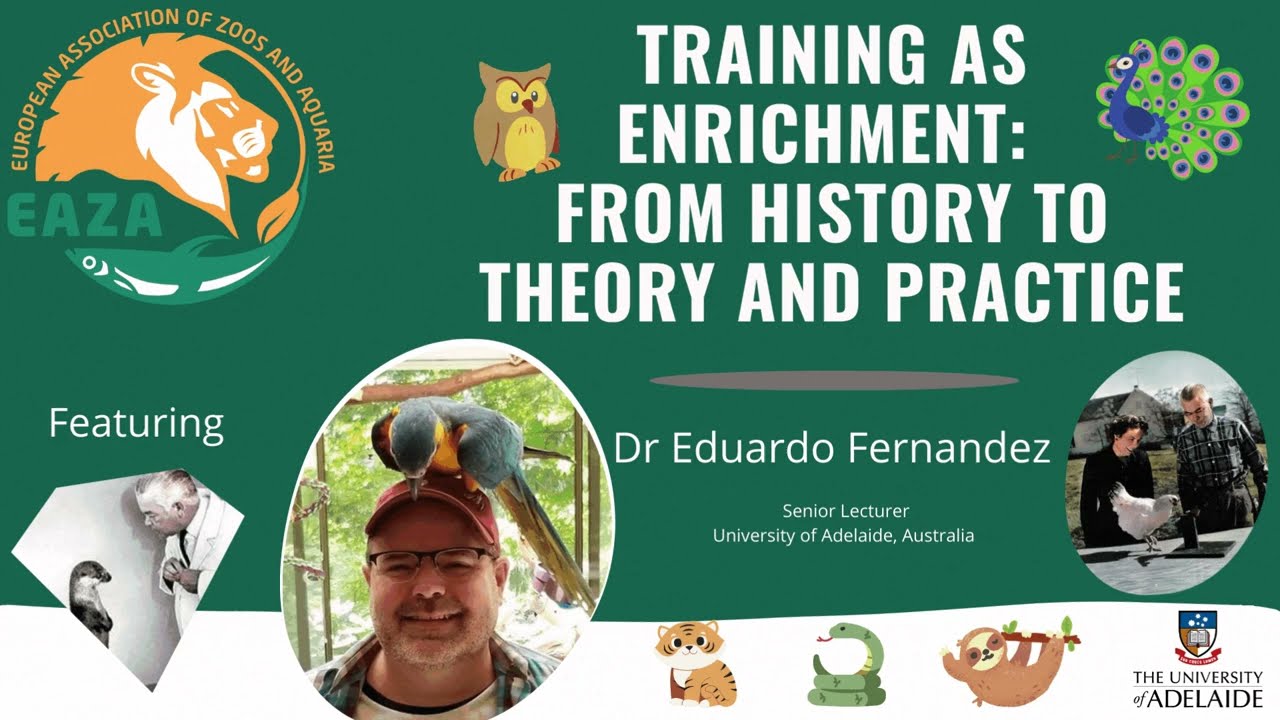 EAZA Animal Welfare Webinar - Eduardo Fernandez - Training as Enrichment