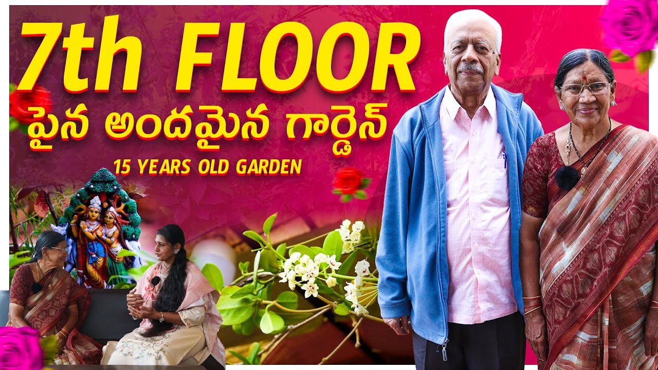🔴 7th FLOOR పైన 15 YEARS OLD GARDEN | Beautiful Terrace Garden You Must See!