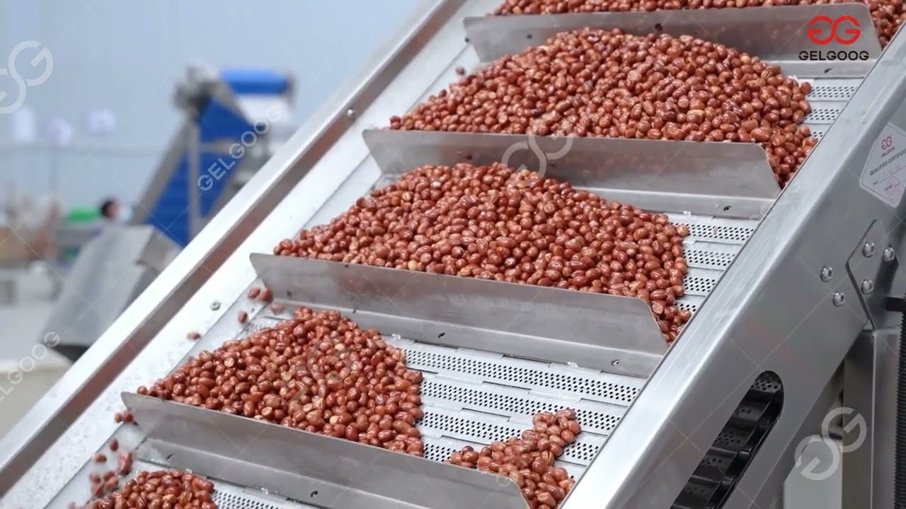 Automatic Peanut Frying Plant, Groundnut Frying and Seasoning Line