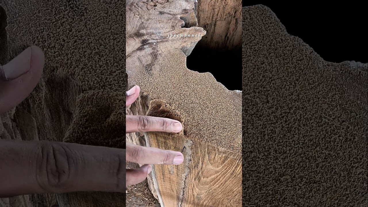 This is how to make a good patch on wood 