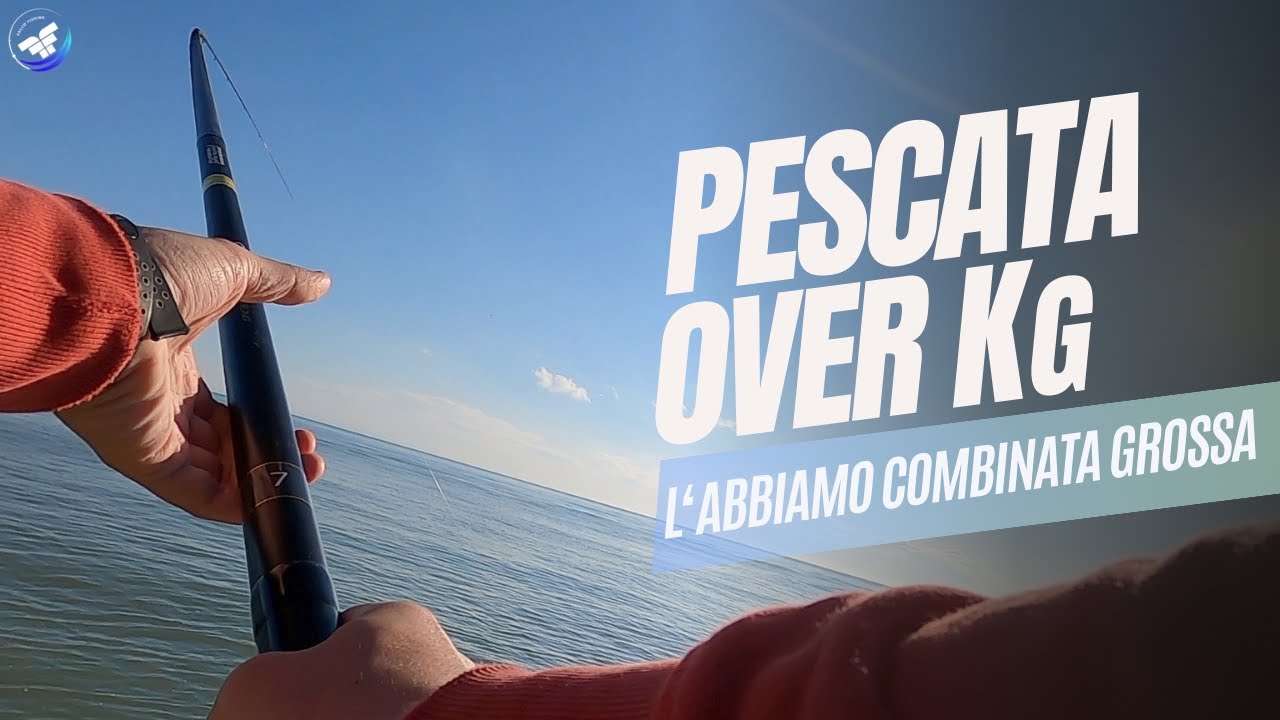 PESCI OVER Kg in condizioni perfette ~ Pesca a Bolognese con mare in scaduta ~