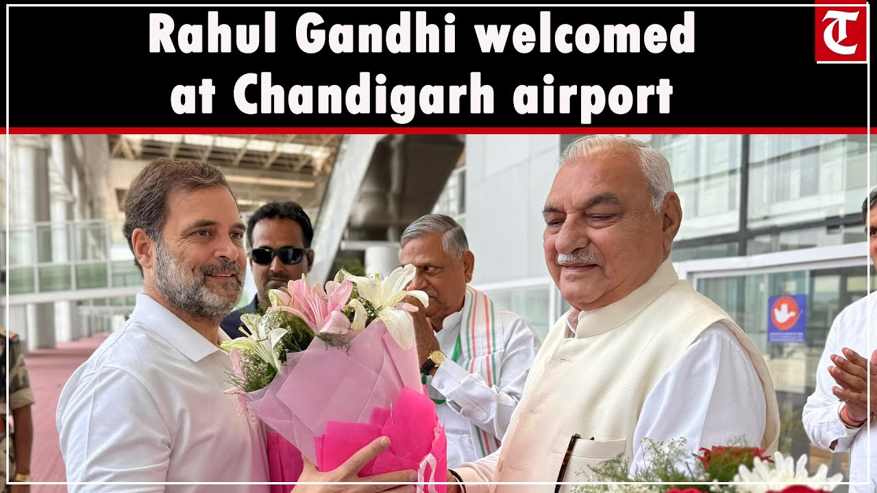 Rahul Gandhi welcomed by senior Congress leaders at Chandigarh airport ahead of party meetings