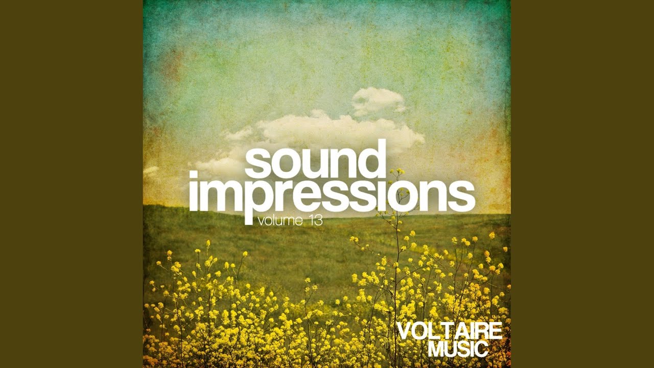 Shakedown (Original Mix)