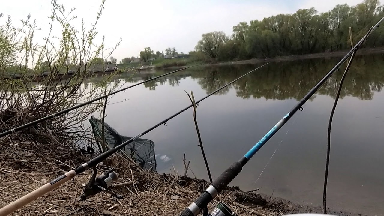 Воронеж Рыбалка на фидер в Шилово