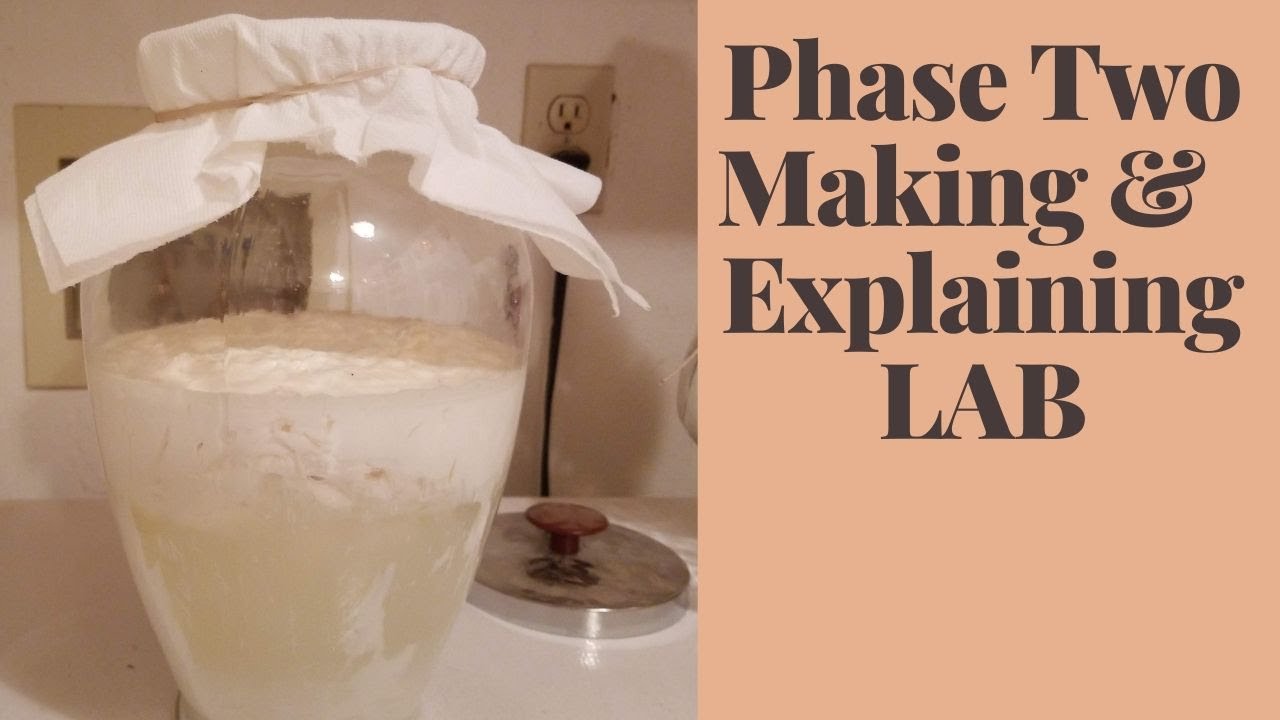 Phase 2 Making & Explaining LAB