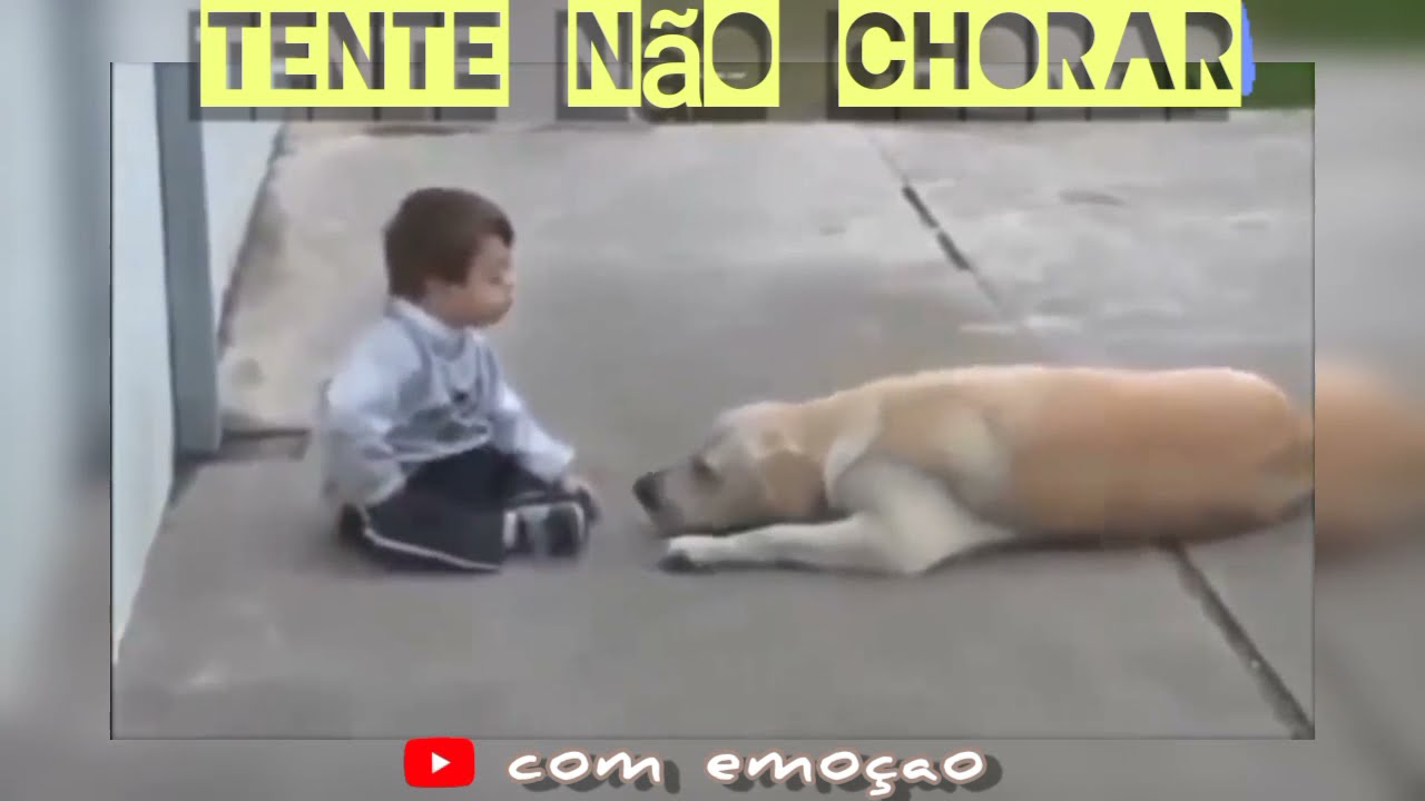 Tente nao chorar,video mais emocionante do mundo,video mais emocionante do youtube,video emocionante