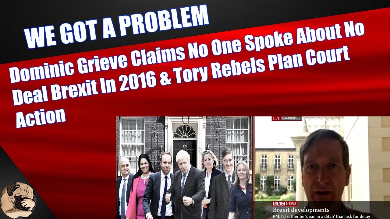 Dominic Grieve Claims No One Spoke About No Deal Brexit In 2016 & Tory Rebels Plan Court Action