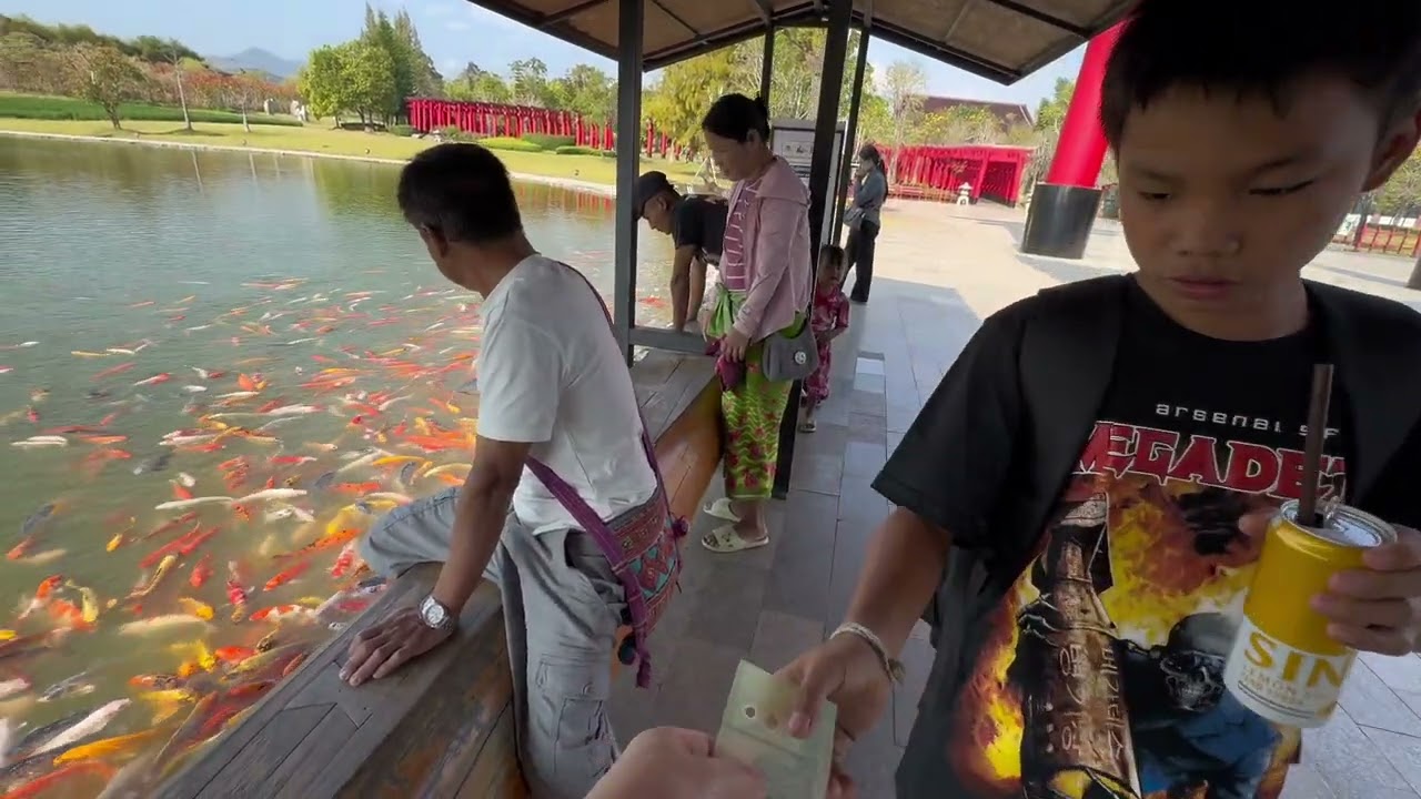 Cooking Hotpot 02-03-26. Ep 556