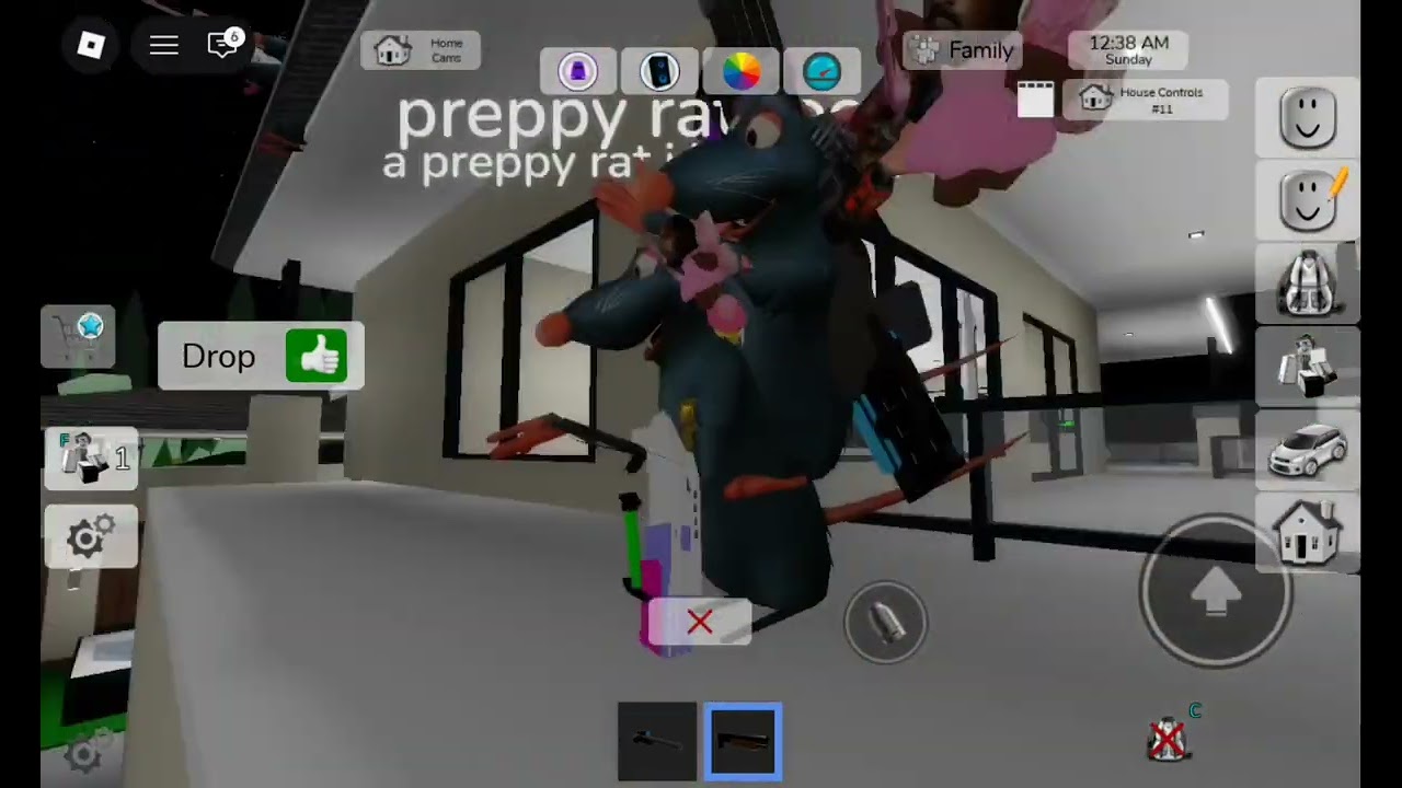Being a crazy rat trio in brookhaven {part 1 we raigebait people and annoy them lol~♡☆}