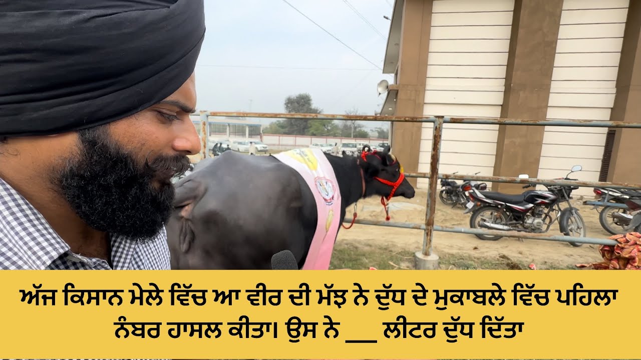 ਅੱਜ ਕਿਸਾਨ ਮੇਲੇ ਵਿੱਚ ਸਾਡੇ ਵੀਰ ਦੀ ਮੱਝ ਨੇ ਦੁੱਧ ਦੇ ਮੁਕਾਬਲੇ ਵਿੱਚ ਪਹਿਲਾ ਨੰਬਰ ਹਾਸਲ ਕੀਤਾ ___ ਲੀਟਰ ਦੁੱਧ ਦਿੱਤਾ