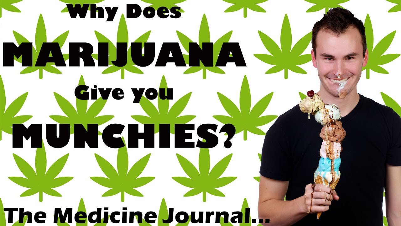 WHY DOES MARIJUANA GIVE YOU MUNCHIES?