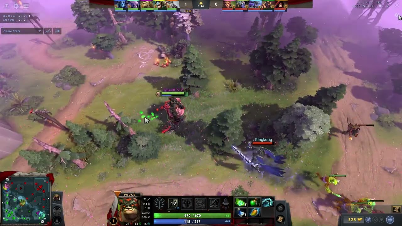 Pudge support 5