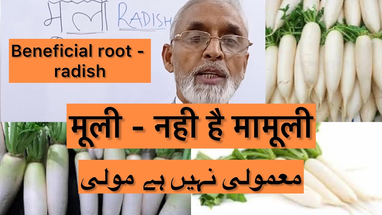 मूली - नही है मामूली | معمولی نہیں ہے مولی