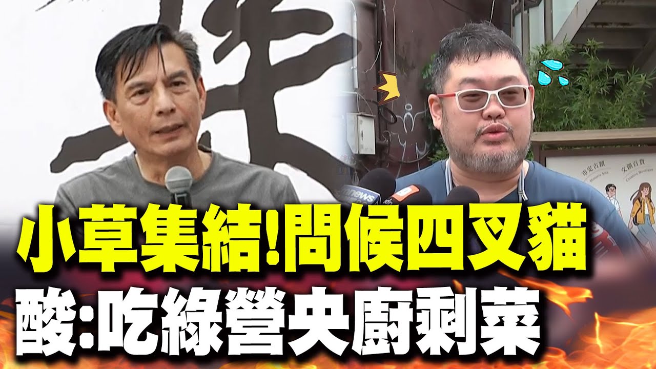 【全程字幕】小草集體問候四叉貓! 楊文嘉狂酸