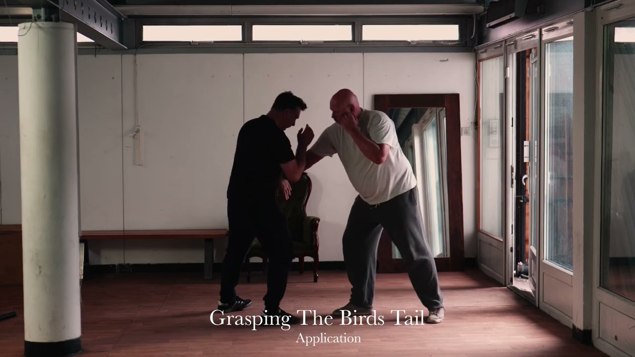 Tai Chi Fighting: Form and Function Ep.3 (Grasping the birds tail)