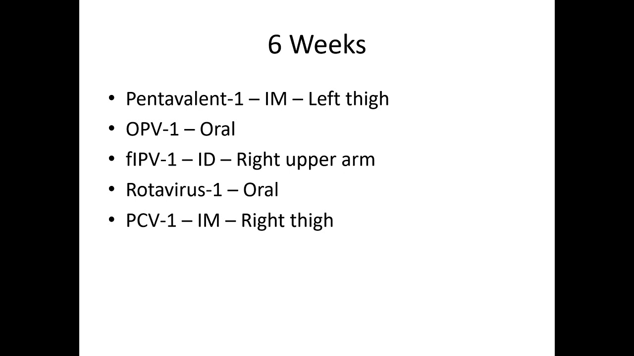 Immunisation Schedule