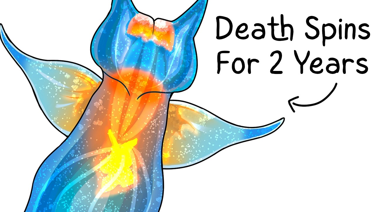 Why it Sucks To Be Born As a Sea Angel