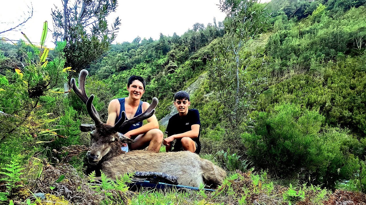 Tararua Meat Hunt