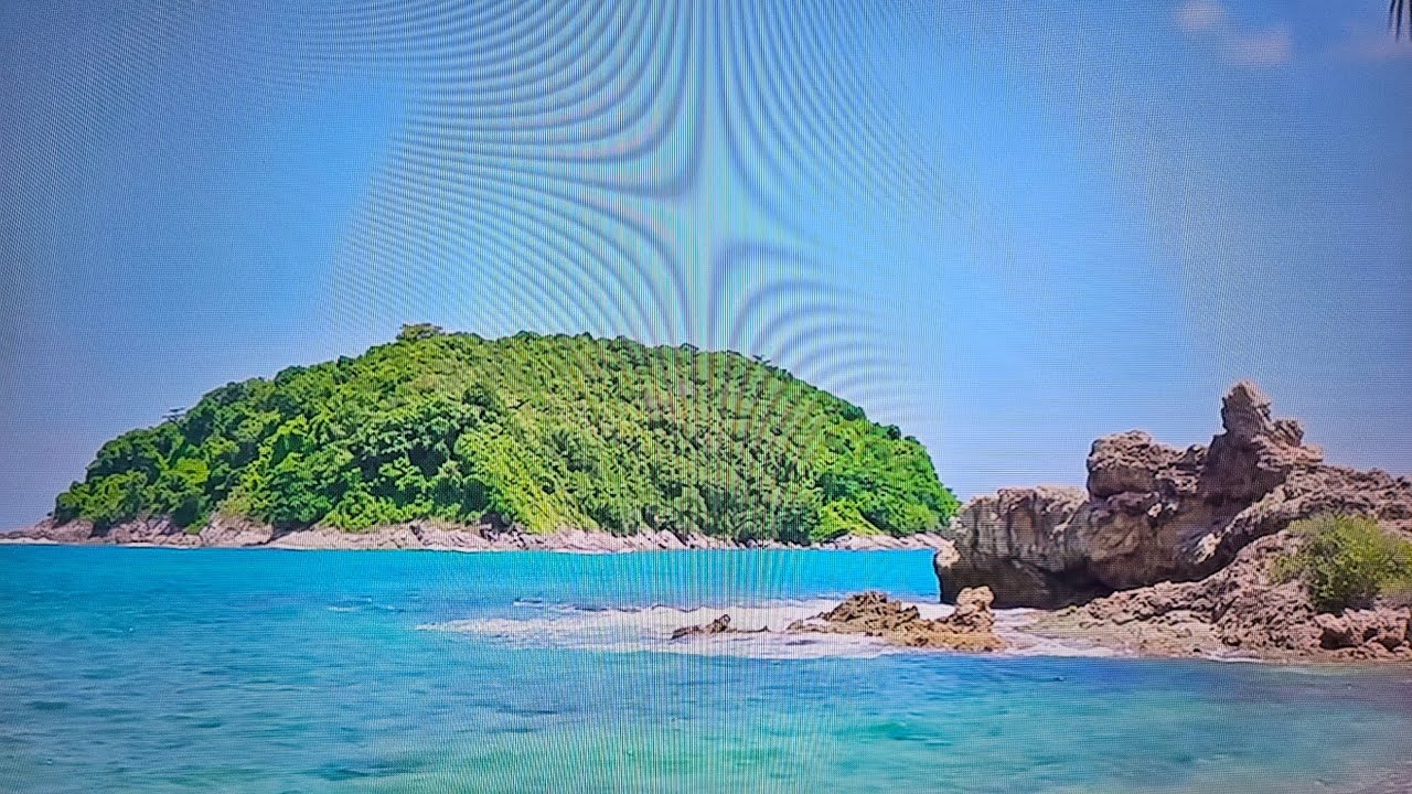 #COSMETICSBARCELONA#GULPSTEWARD