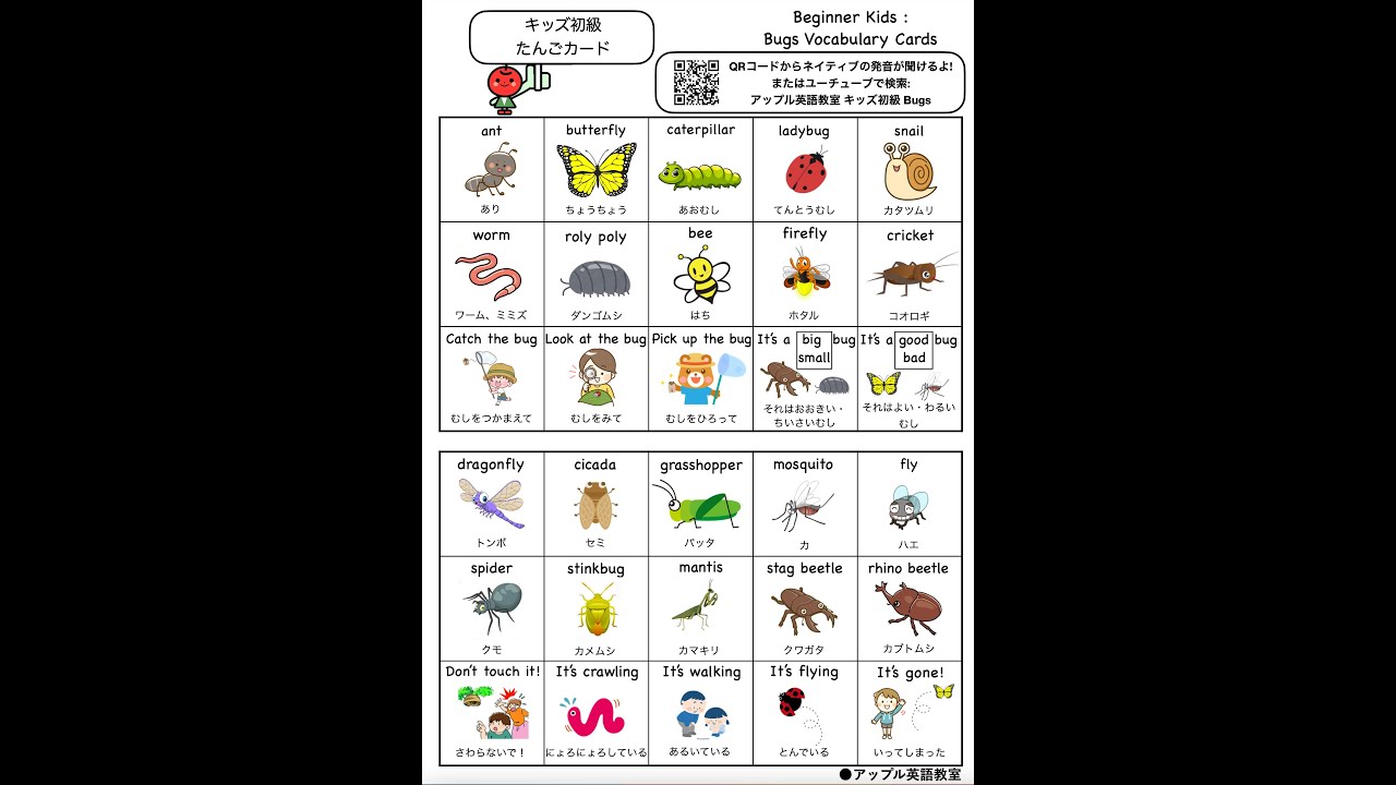 アップル英語教室 キッズ初級 Bugs