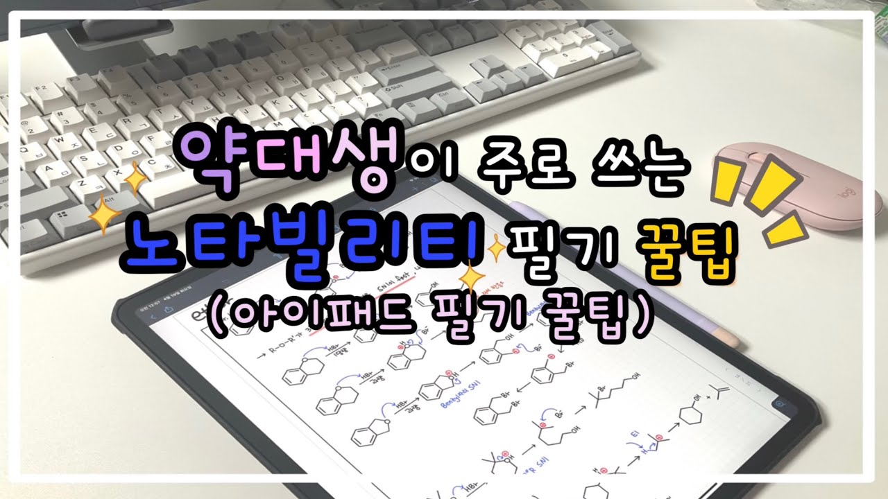 약대생이 주로 쓰는 노타빌리티 필기 꿀팁👩‍🏫 | 굿노트보다 노타빌리티가 좋은 이유✨️ | 갤럭시유저의 아이패드 필기법✍️