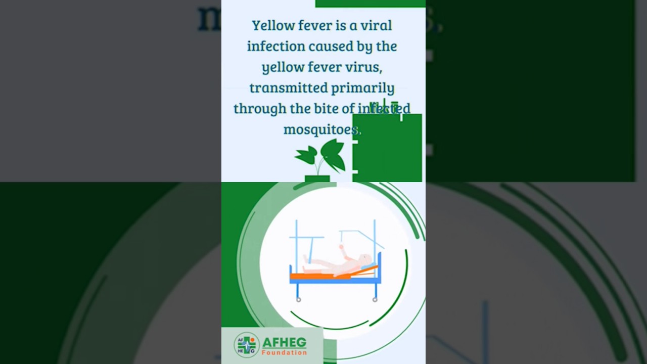 #YellowFever - Understanding and Preventing the Disease
