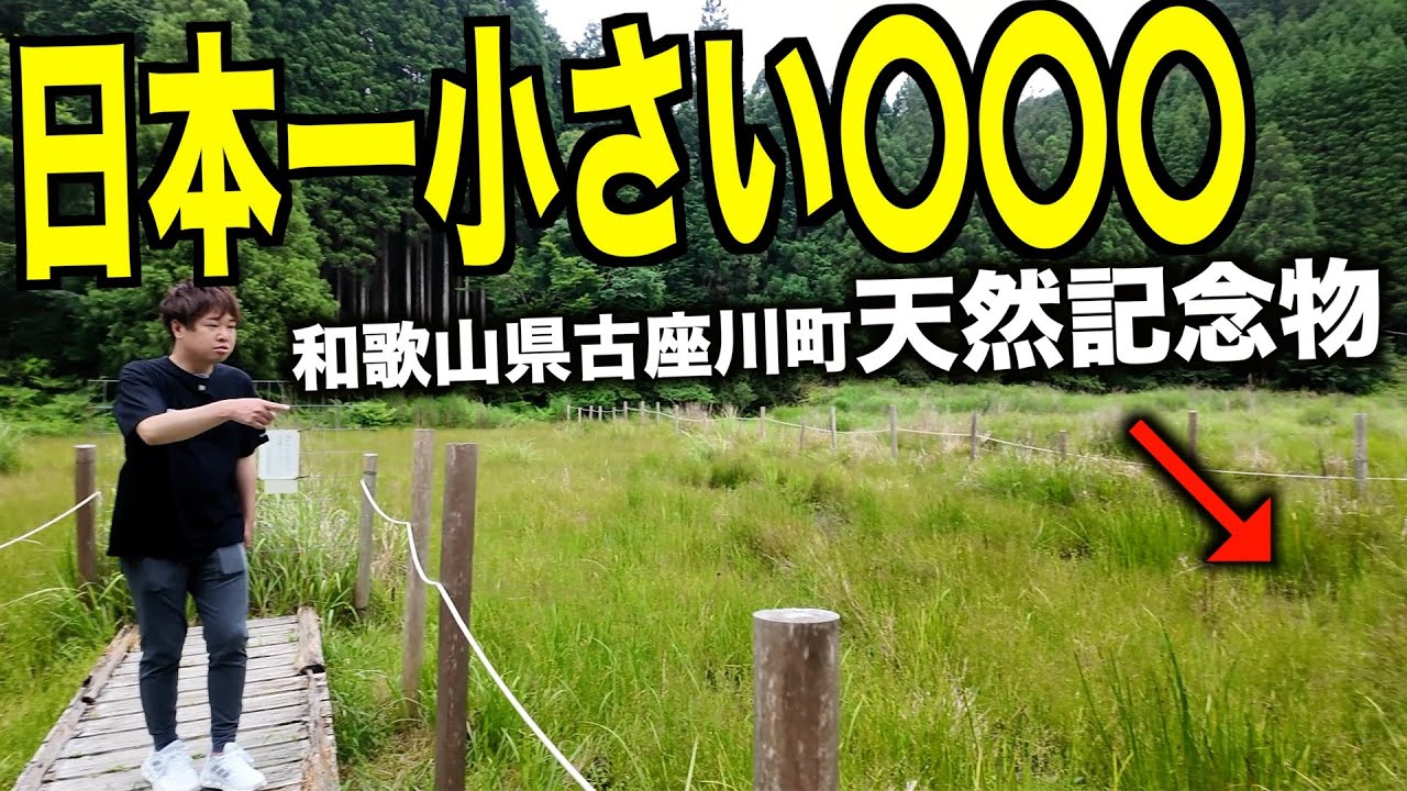 【最小】夏頃しか見られない古座川の名所を紹介♪雨が降ったら即帰宅ドライブ！
