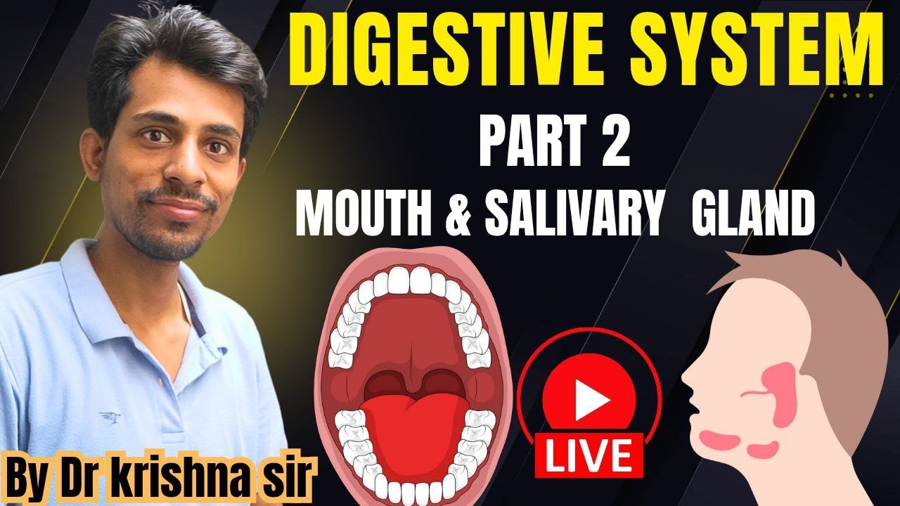 Mouth & Salivary Glands Explained | Mouth Anatomy & Function for Students | Saliva,Parotid gland