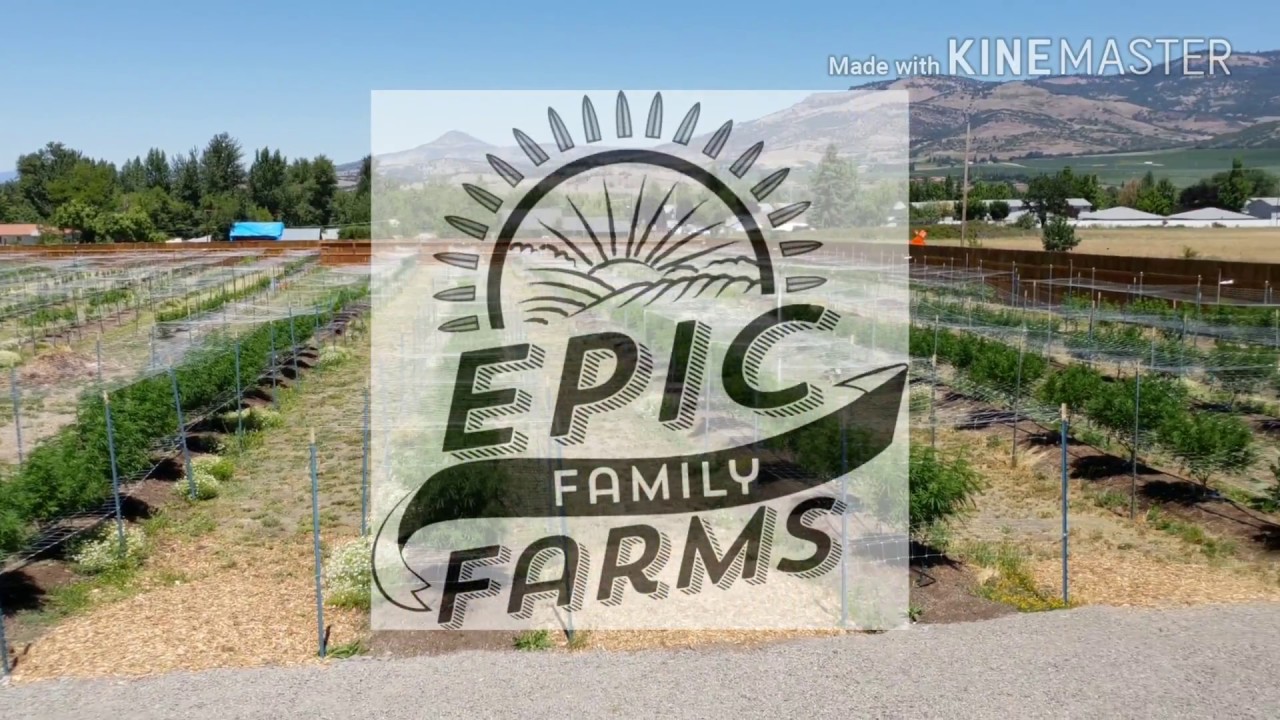 Epic Family Farms (OLCC Tier 2)