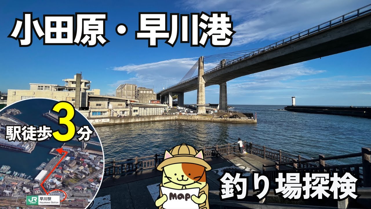 小田原「早川港（小田原港）」釣り場探検｜日本一駅近で釣りができる漁港！トイレ完備、柵もある安全な釣り場。釣り禁止エリアの解説も