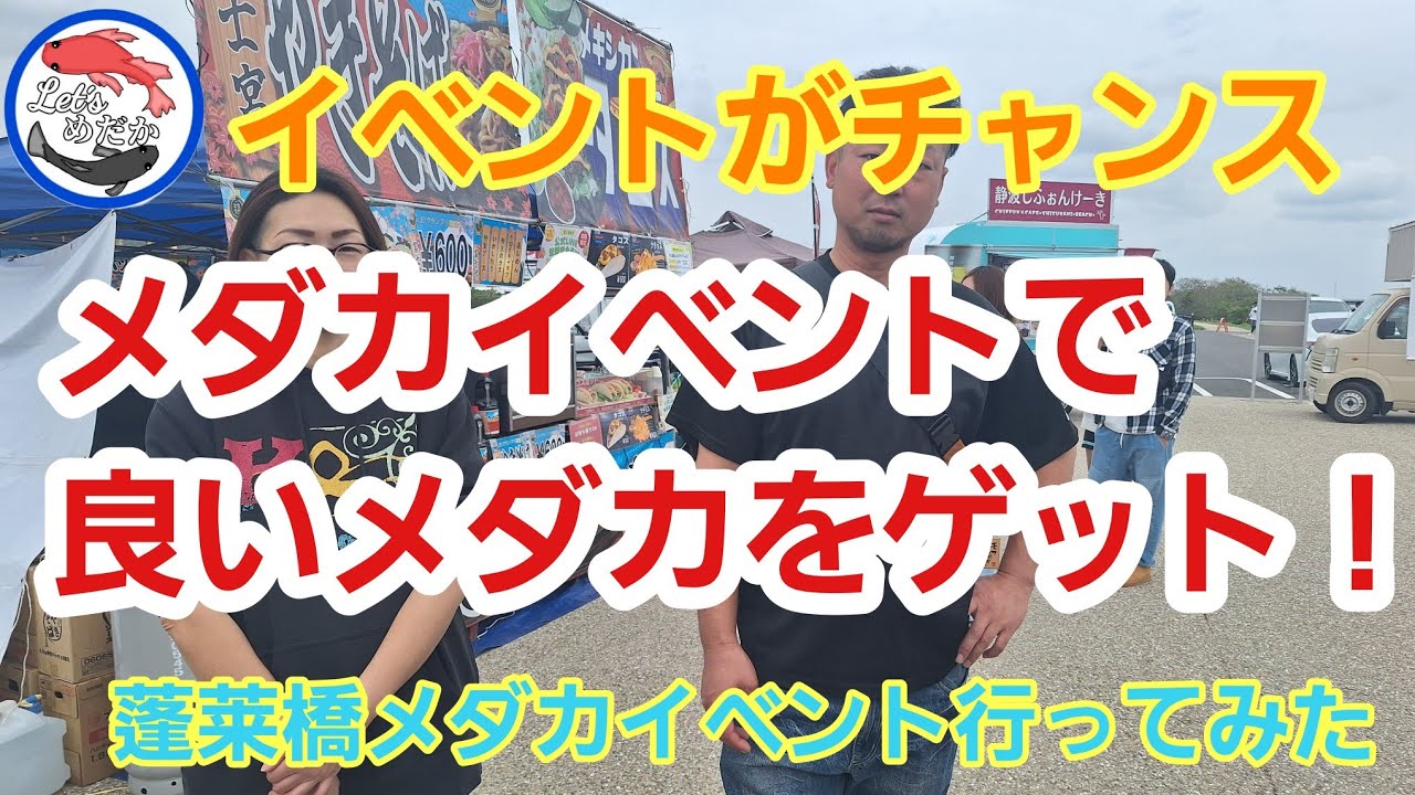 《メダカ始めた方必見》蓬莱橋が熱かった！これからメダカを楽しむには