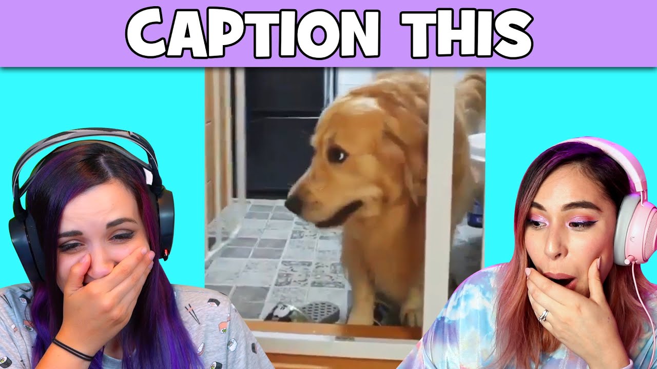 Caption This! w/ LaurenZside - Try Not To Laugh