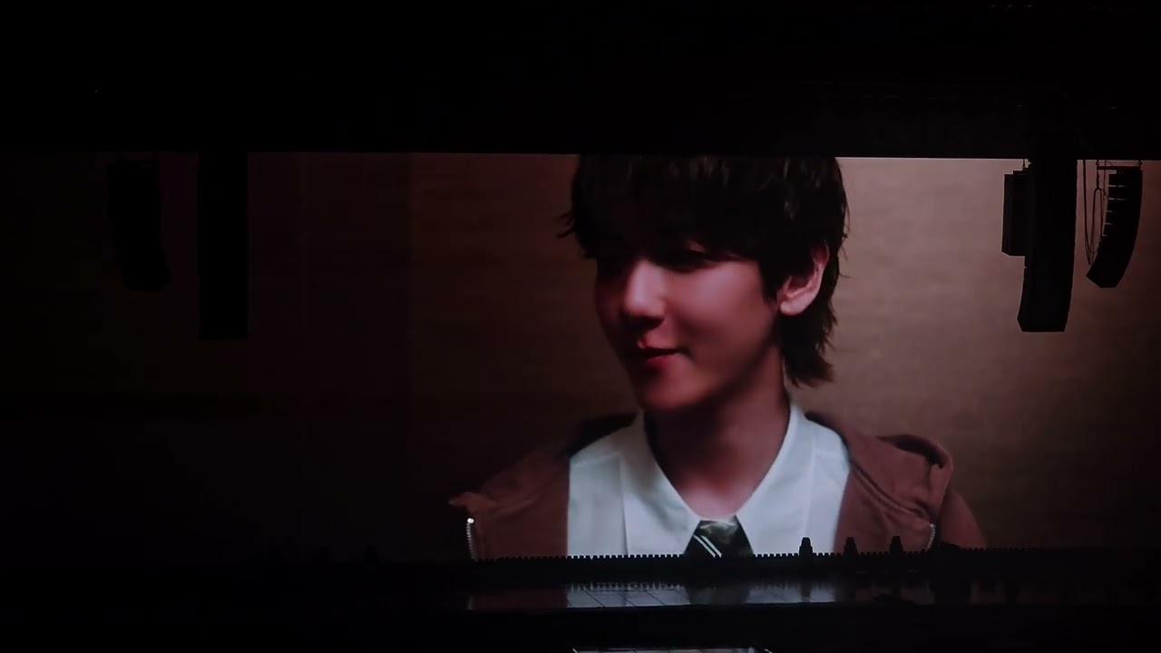 250607 2025 BAEKHYUN WORLD TOUR〈Reverie〉in SEOUL 세번째 VCR