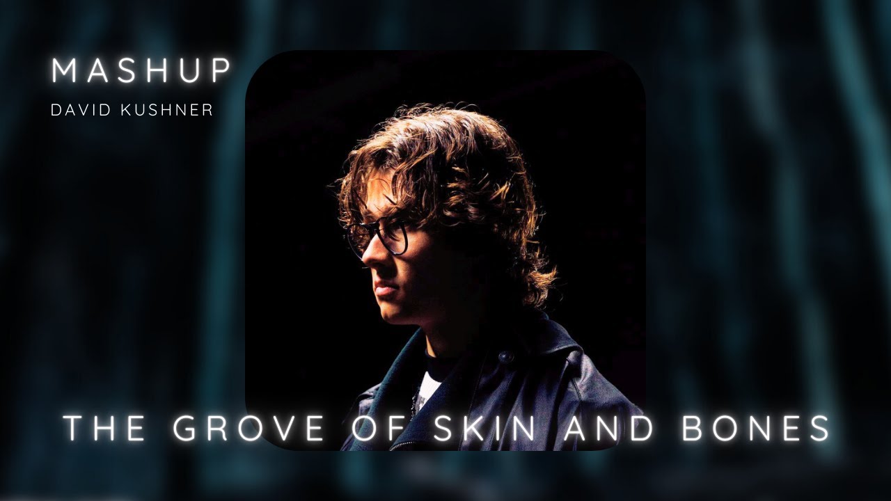 David Kushner - Skin and Bones X Elk Grove | Mashup