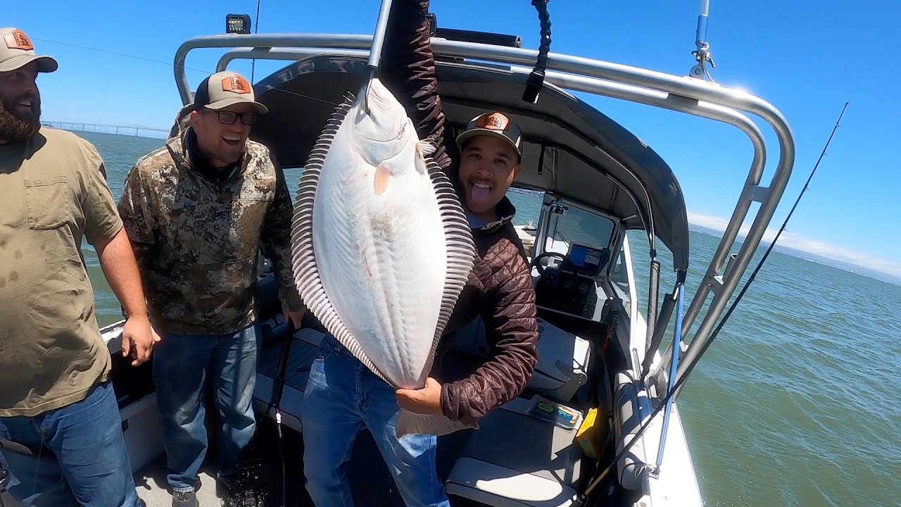 ChrisPfish (King of the BAY) California Halibut fishing